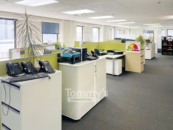Image 1 of 16