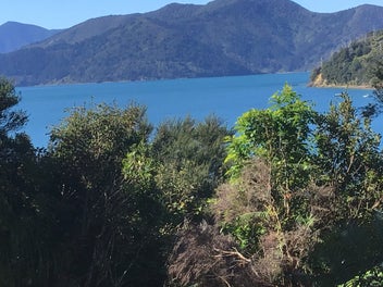 Large Private Waterfront Section