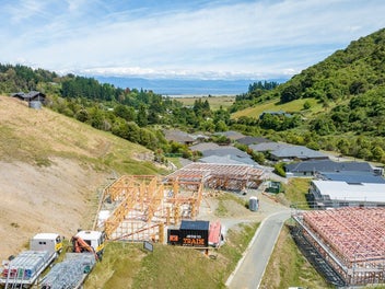 Image 1 of 12