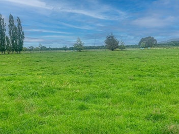 KOPU LIFESTYLE SECTION