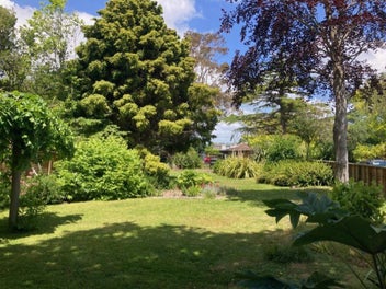 Image 1 of 15