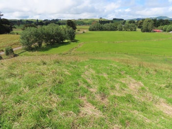 Image 1 of 12