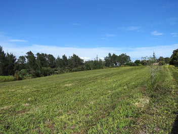 Image 1 of 18