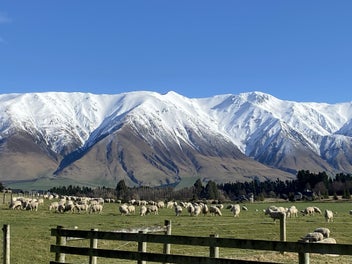Image 1 of 12