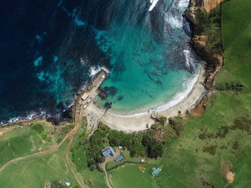 Remote Island Retreat - Pitt Island - New Zealand