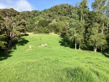 Image 1 of 23