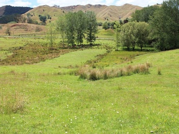 Image 1 of 19