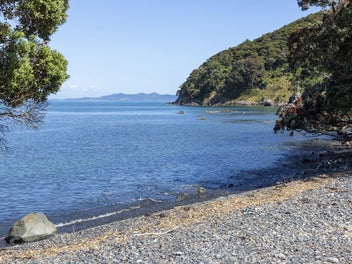 Your Own Private Bay and Pristine Native Sanctuary