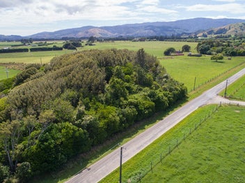 Larger Bareland Lifestyle with Great Soils - 9.8ha