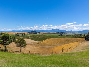 Vendors seek action, viewing will impress