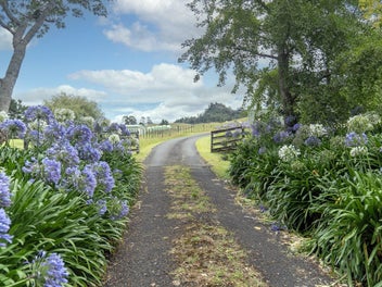 Two titles - spacious country living
