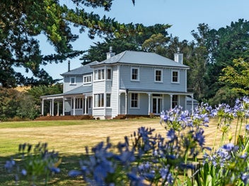 Image 1 of 31