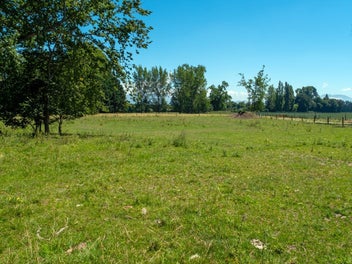 Image 1 of 14