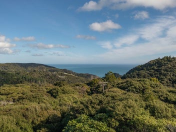 Secluded and spacious, bush retreat with sea views