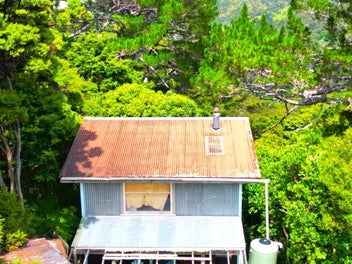 Kohukohu Bush Cottage