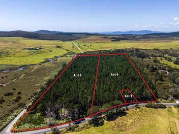 Income And Land Investment