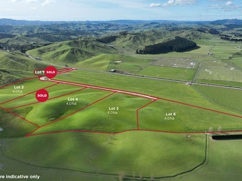 Wiremu Downs Country Estate