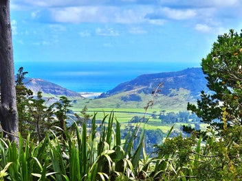 Rural lifestyle with West Coast ocean views
