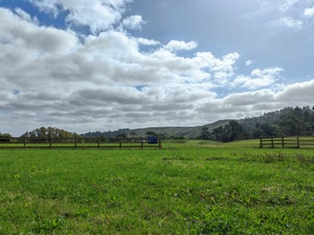 Image 1 of 32