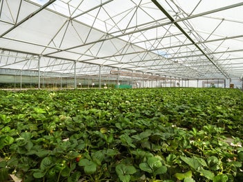 Opportunity to grow your own business