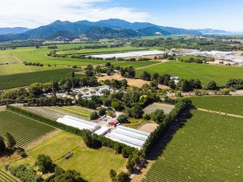 Marlborough strawberries & produce on 2.9 ha land