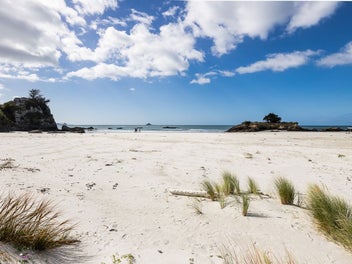 Beachfront Section with Subdivision Potential