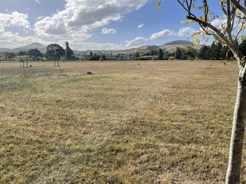Image 1 of 8