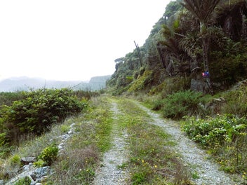 Seaside Sanctuary: 2.3 Acres of Pure Bliss!