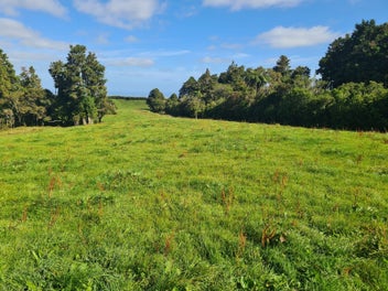 Lovely Elevated Carrington Road Sections