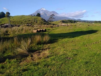 Image 1 of 6