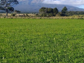 A Real Sustainable Lifestyle Block