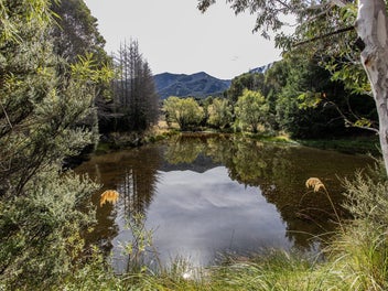 Image 1 of 28
