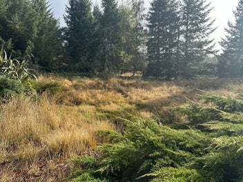 Image 1 of 9