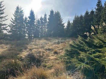 Image 1 of 9