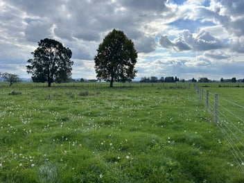 Rural and affordable lifestyle section