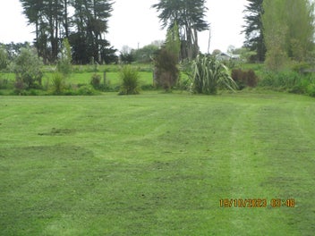 Section