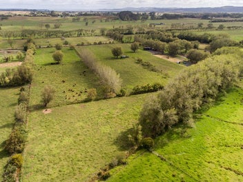 Image 1 of 20