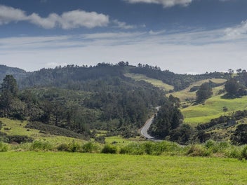 Image 1 of 16