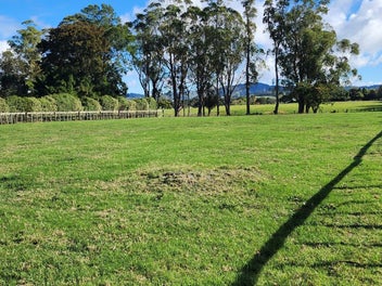 Image 1 of 10