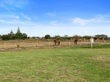BRING THE HORSES - BEACH LIFESTYLE