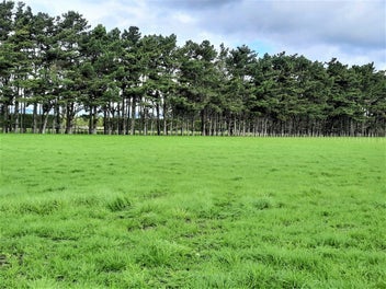 Foxton Lifestyle Section 1.15ha