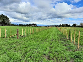 Image 1 of 11