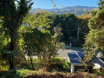 Image 1 of 19