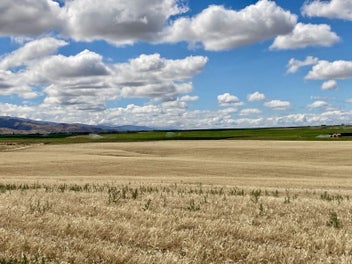 Unleash your agricultural vision in Central Otago