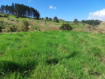 Land with cabin