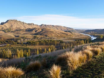 Image 1 of 12