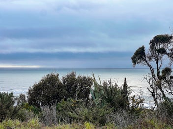 Prime Elevated Ocean View Section
