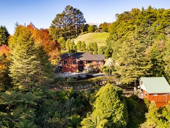 Paradise in the Waikino Hills