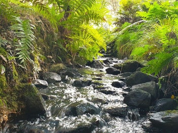 Image 1 of 29