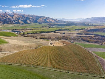 Image 1 of 12